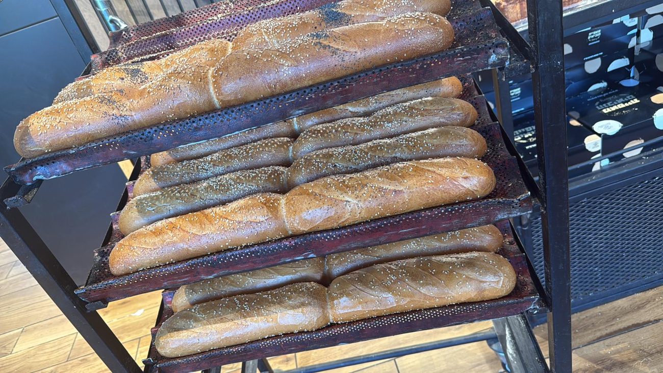 באגטים טריים על תבנית